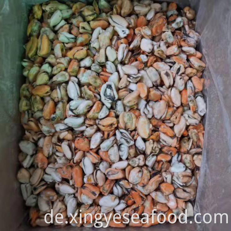 Frozen Boiled Mussels Meat